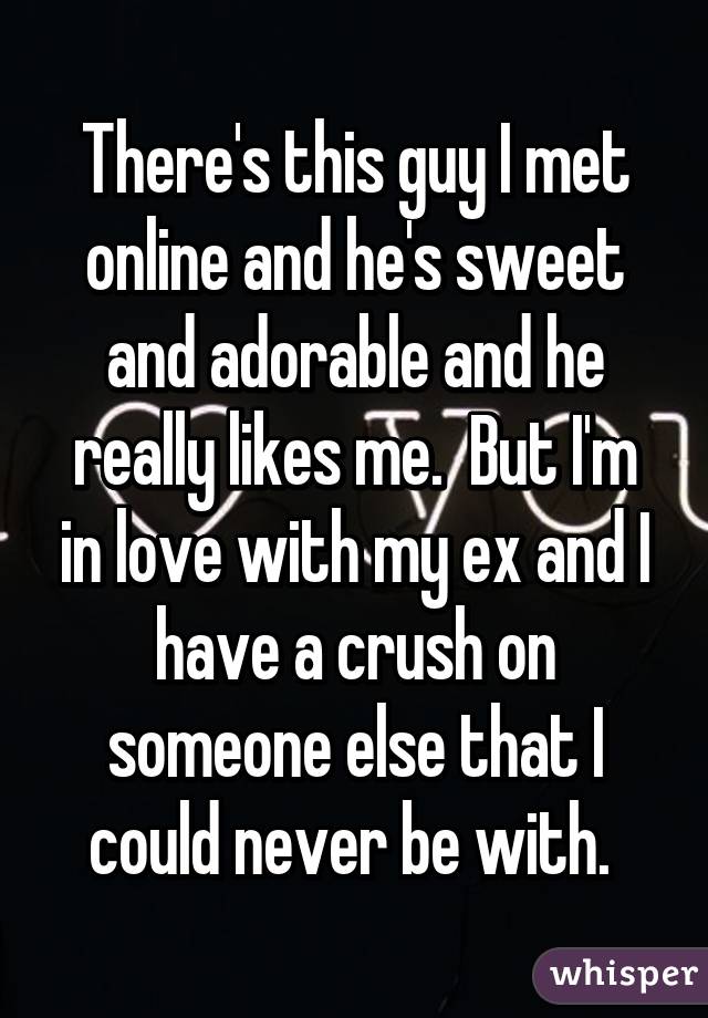 There's this guy I met online and he's sweet and adorable and he really likes me.  But I'm in love with my ex and I have a crush on someone else that I could never be with. 