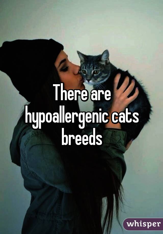 There are hypoallergenic cats breeds