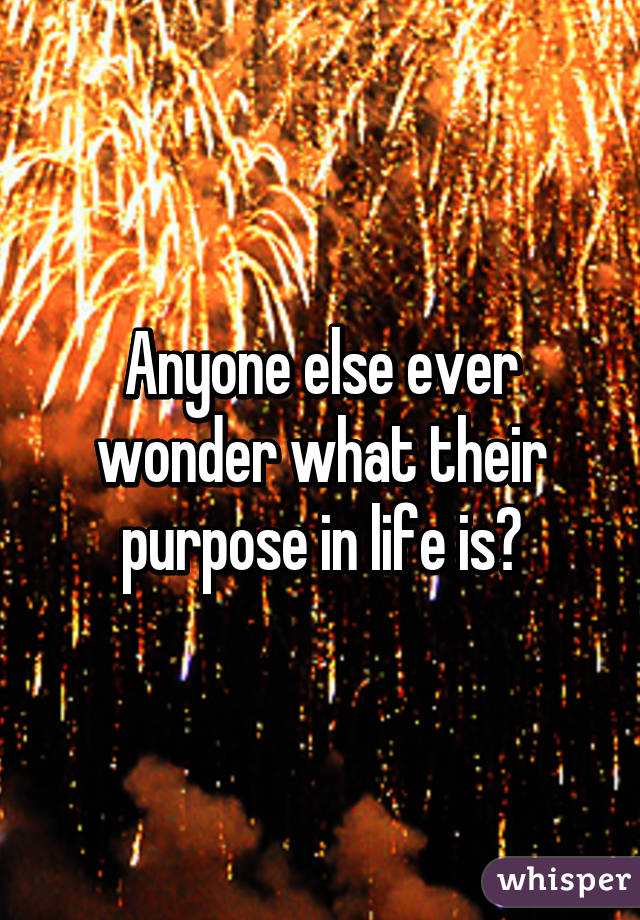 Anyone else ever wonder what their purpose in life is?