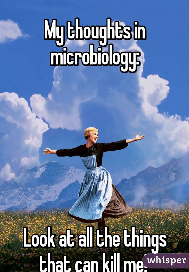 
My thoughts in microbiology:






Look at all the things that can kill me! 