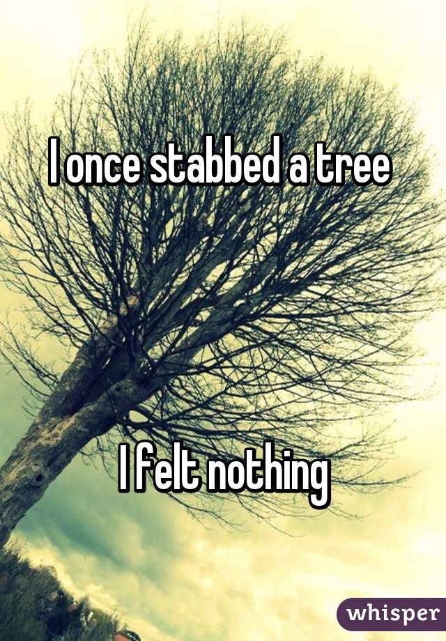 I once stabbed a tree 




I felt nothing