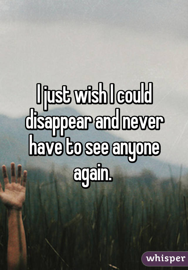 I just wish I could disappear and never have to see anyone again. 