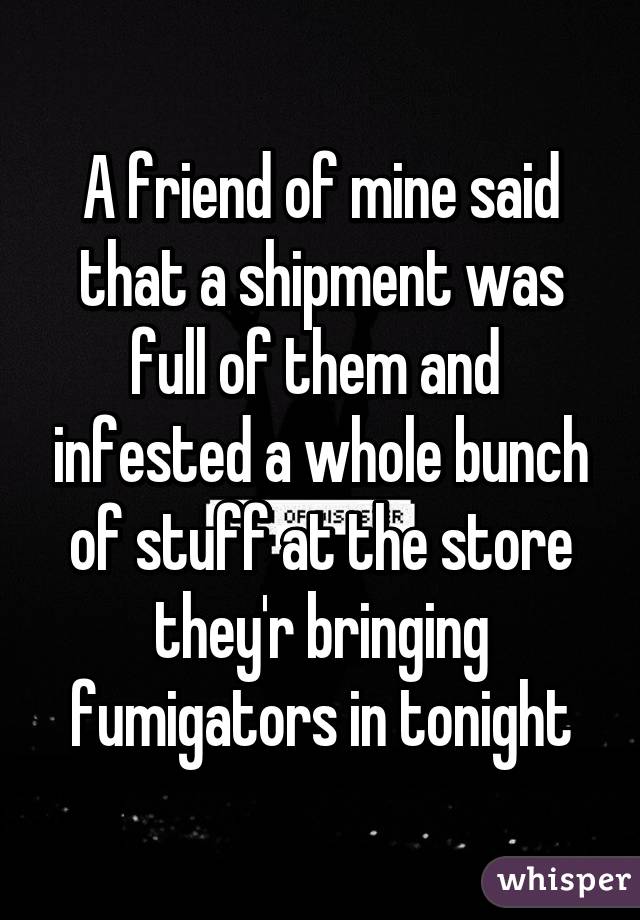 A friend of mine said that a shipment was full of them and  infested a whole bunch of stuff at the store they'r bringing fumigators in tonight