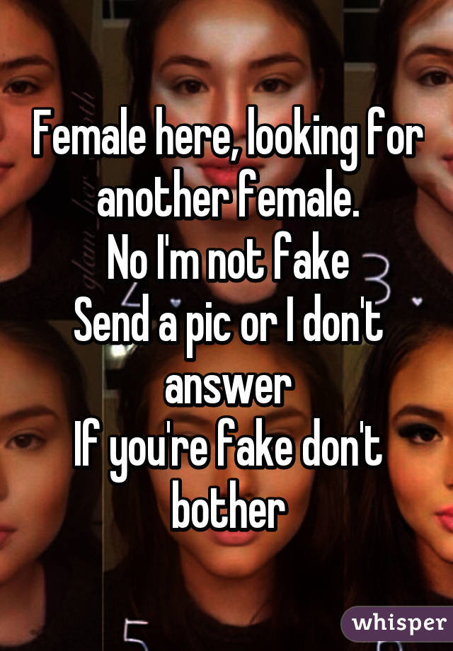 Female here, looking for another female.
No I'm not fake
Send a pic or I don't answer
If you're fake don't bother