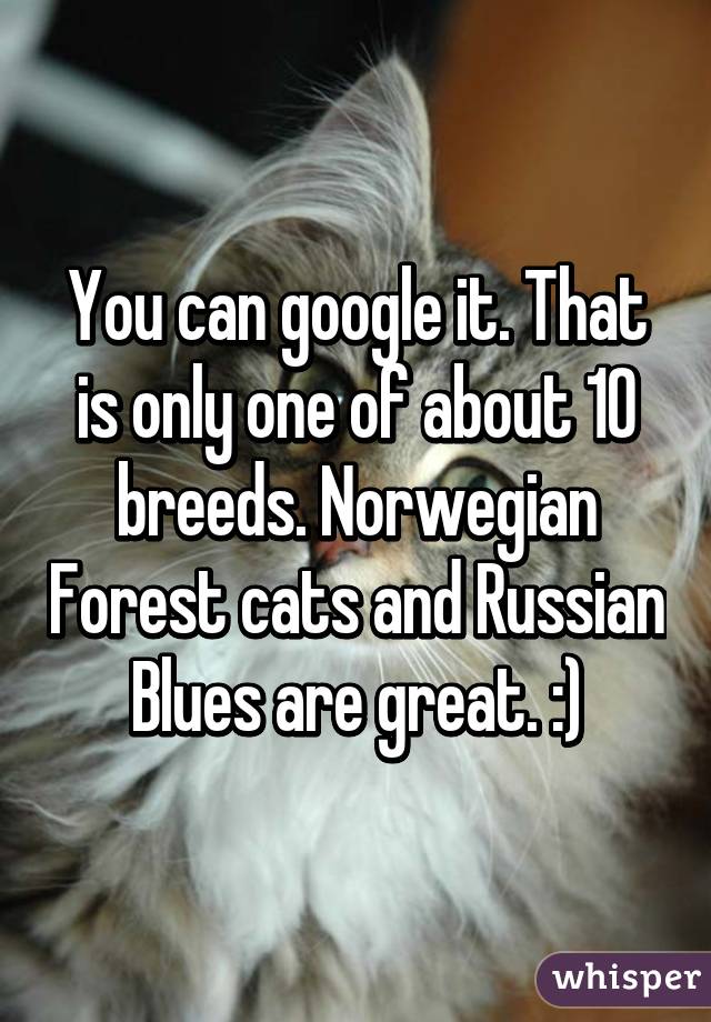 You can google it. That is only one of about 10 breeds. Norwegian Forest cats and Russian Blues are great. :)