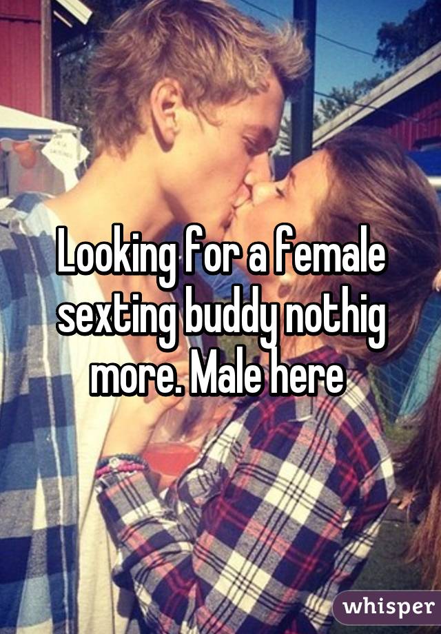 Looking for a female sexting buddy nothig more. Male here 