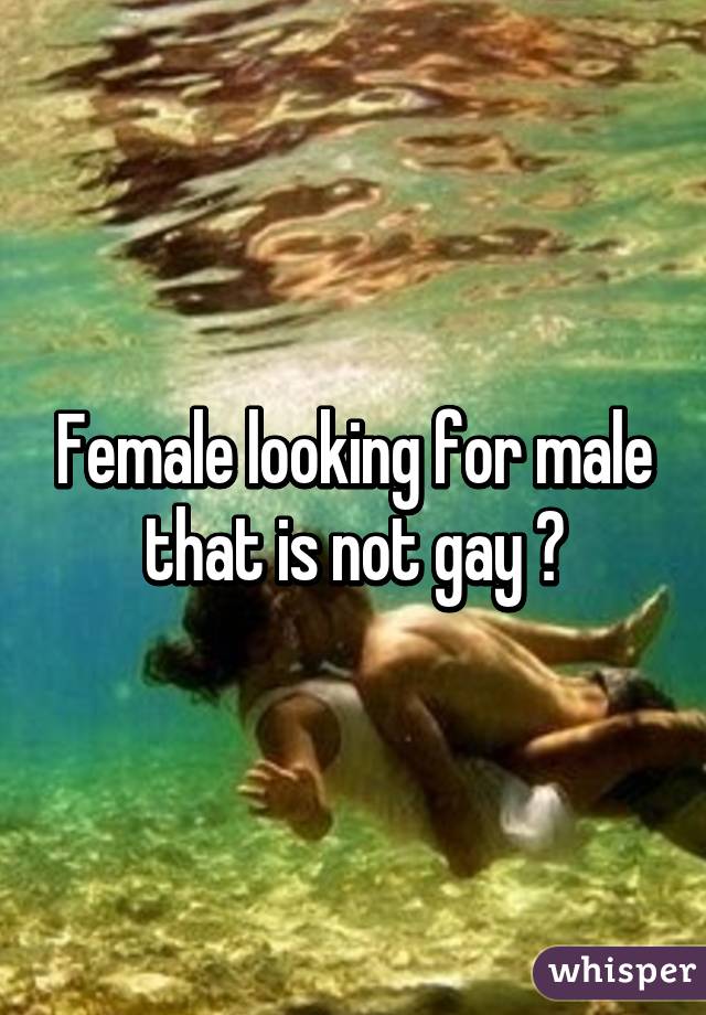 Female looking for male that is not gay 🙏