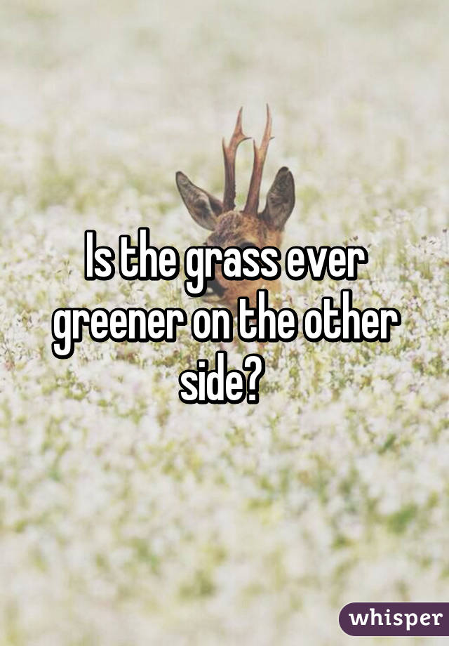 Is the grass ever greener on the other side? 