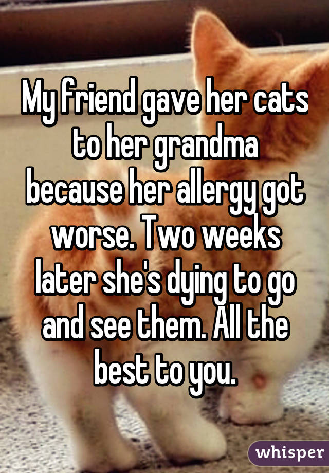 My friend gave her cats to her grandma because her allergy got worse. Two weeks later she's dying to go and see them. All the best to you.