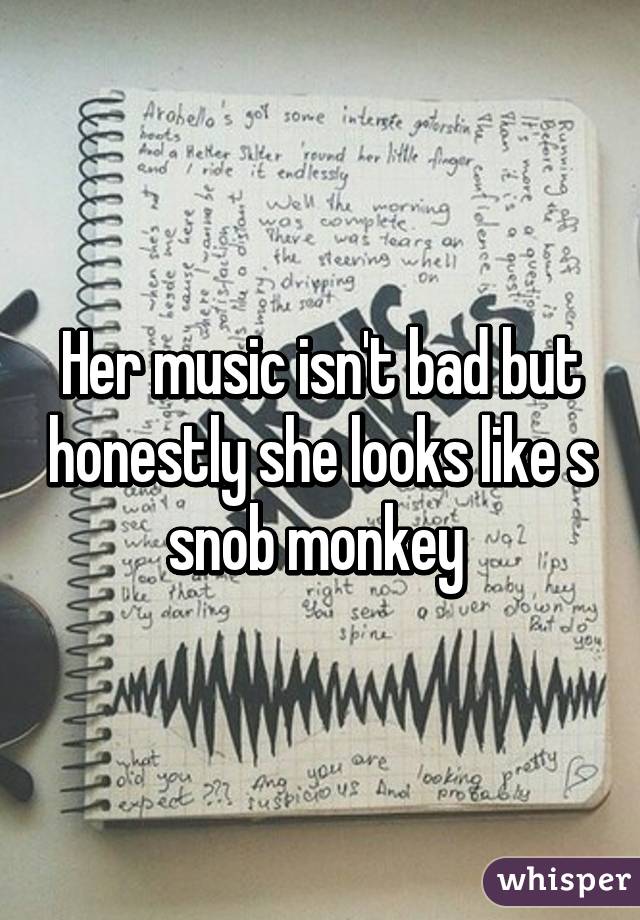 Her music isn't bad but honestly she looks like s snob monkey 