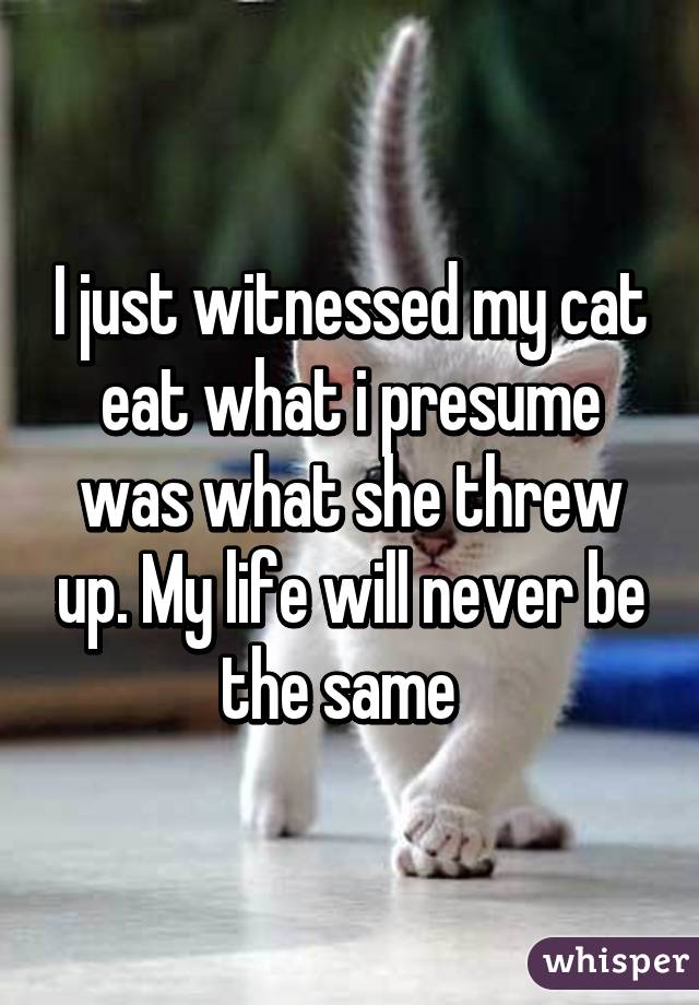 I just witnessed my cat eat what i presume was what she threw up. My life will never be the same  