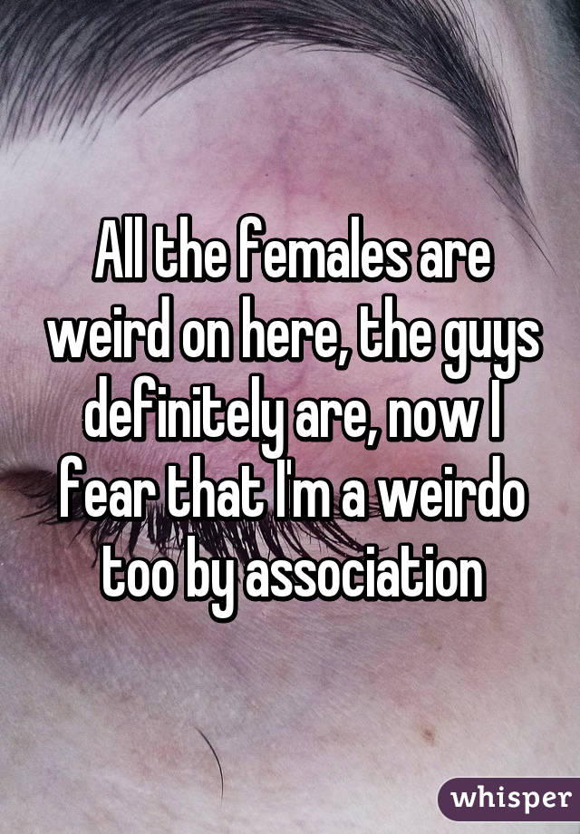 All the females are weird on here, the guys definitely are, now I fear that I'm a weirdo too by association