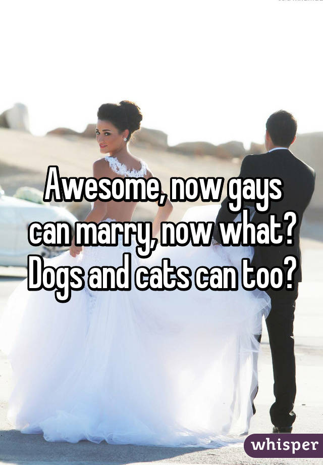 Awesome, now gays can marry, now what? Dogs and cats can too?