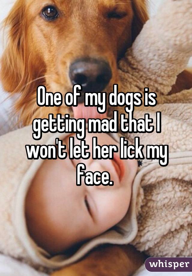 One of my dogs is getting mad that I won't let her lick my face. 