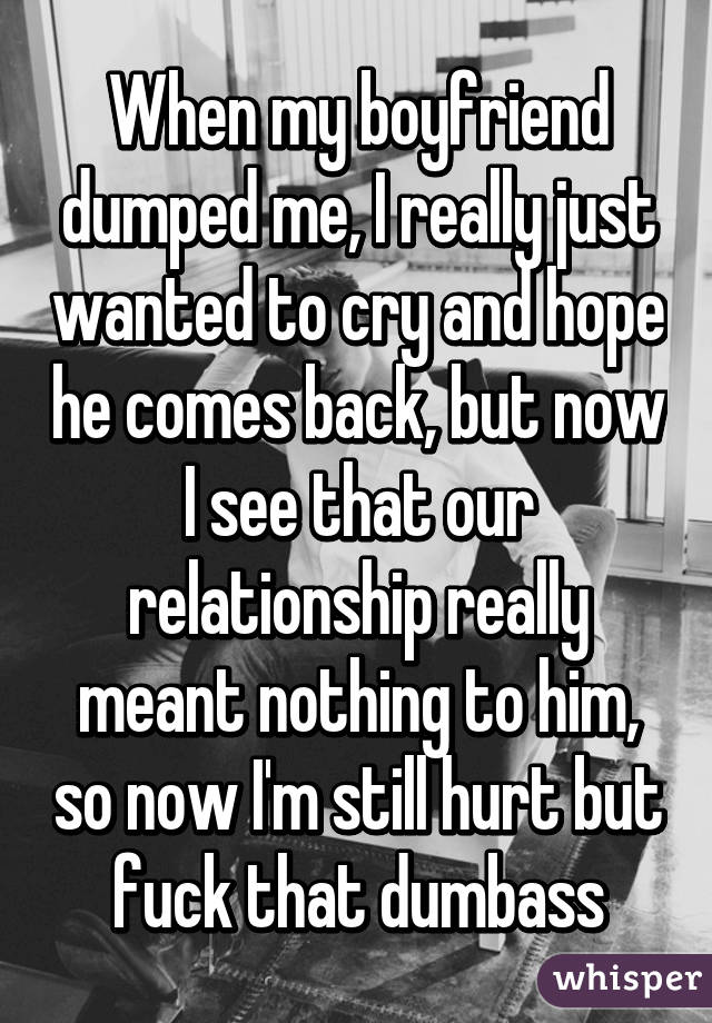 When my boyfriend dumped me, I really just wanted to cry and hope he comes back, but now I see that our relationship really meant nothing to him, so now I'm still hurt but fuck that dumbass