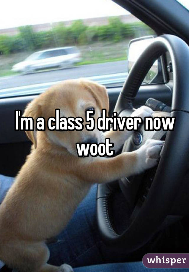 I'm a class 5 driver now woot