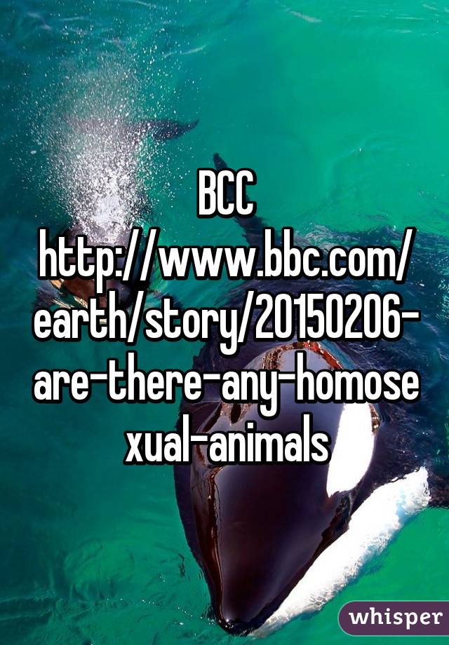 BCC
http://www.bbc.com/earth/story/20150206-are-there-any-homosexual-animals