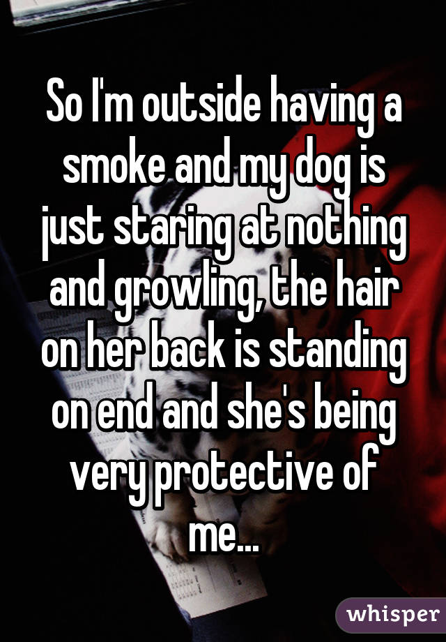 So I'm outside having a smoke and my dog is just staring at nothing and growling, the hair on her back is standing on end and she's being very protective of me...