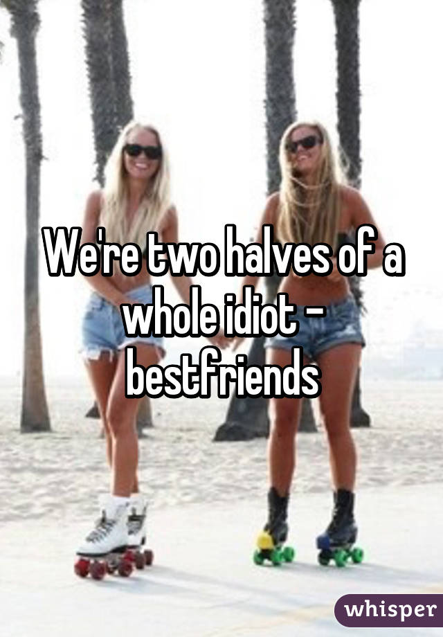 We're two halves of a whole idiot - bestfriends