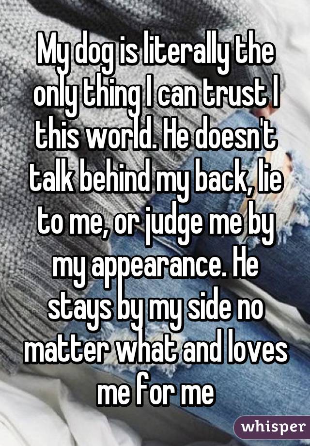 My dog is literally the only thing I can trust I this world. He doesn't talk behind my back, lie to me, or judge me by my appearance. He stays by my side no matter what and loves me for me