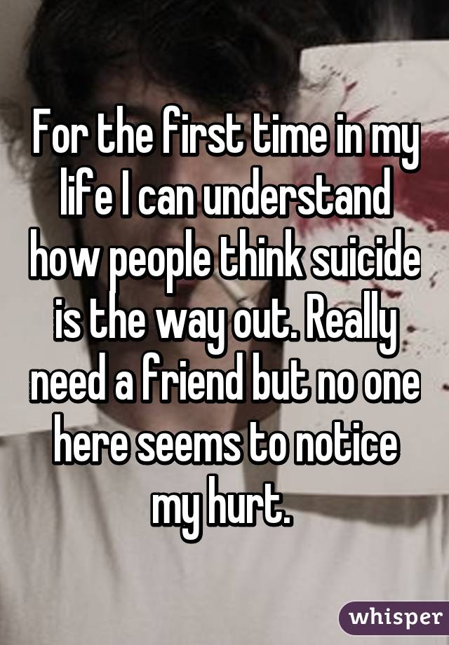 For the first time in my life I can understand how people think suicide is the way out. Really need a friend but no one here seems to notice my hurt. 