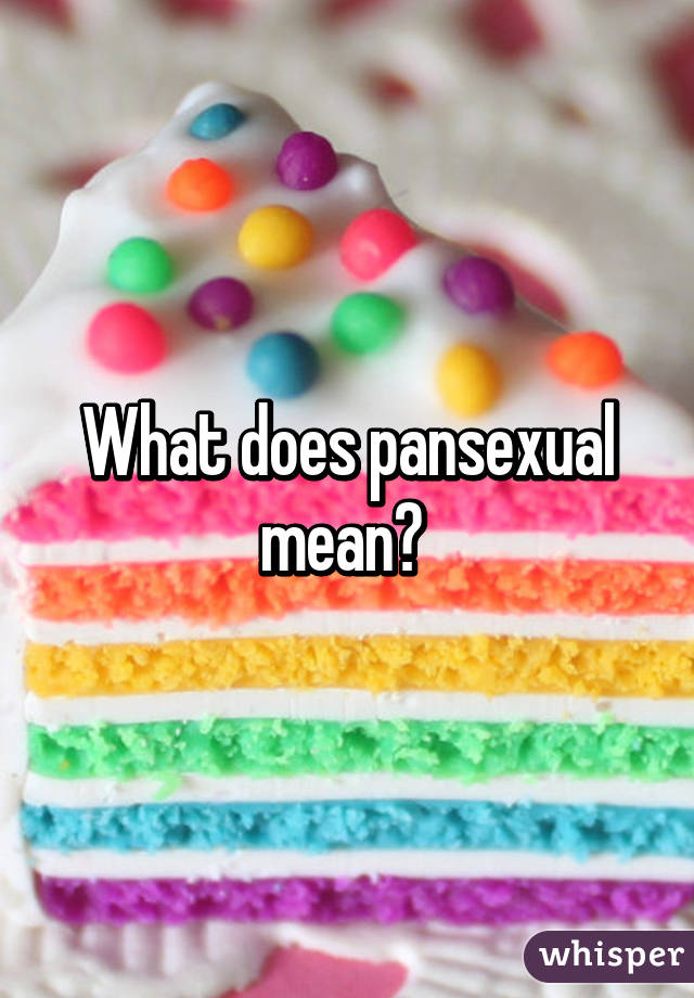 What does pansexual mean? 