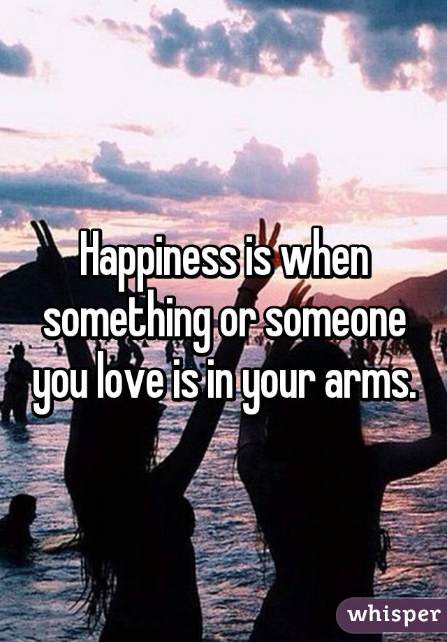 Happiness is when something or someone you love is in your arms.