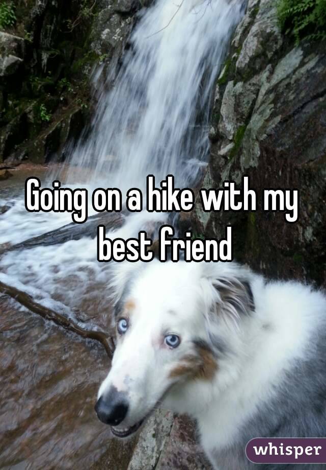 Going on a hike with my best friend