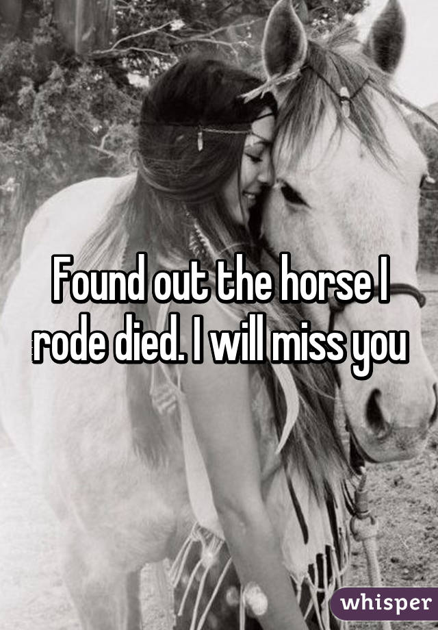 Found out the horse I rode died. I will miss you