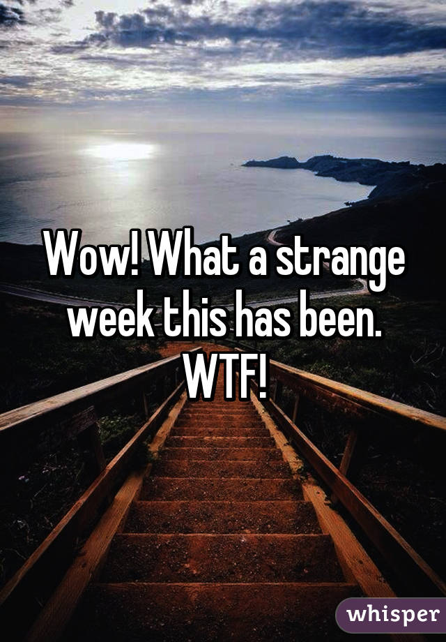 Wow! What a strange week this has been. WTF!