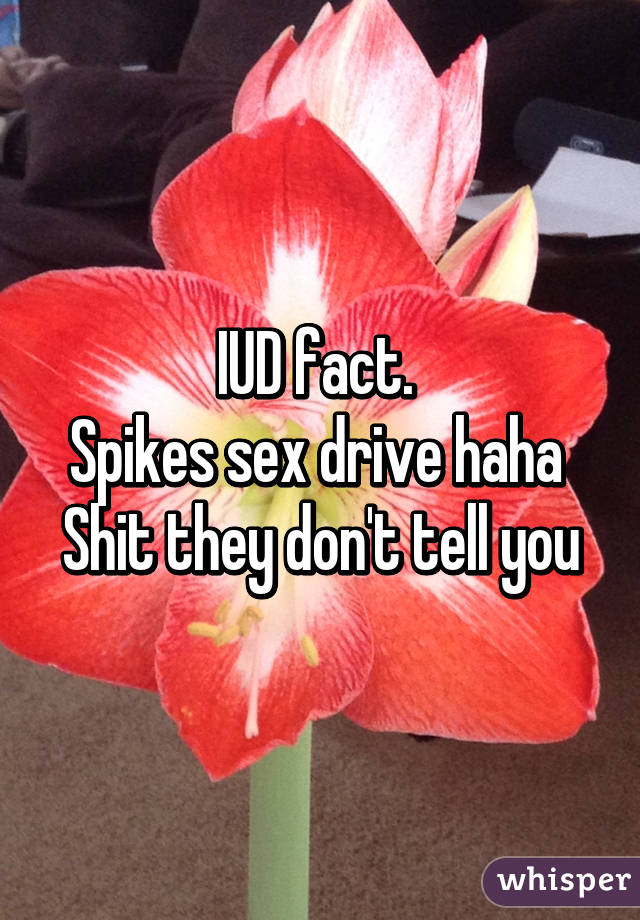 IUD fact. 
Spikes sex drive haha 
Shit they don't tell you