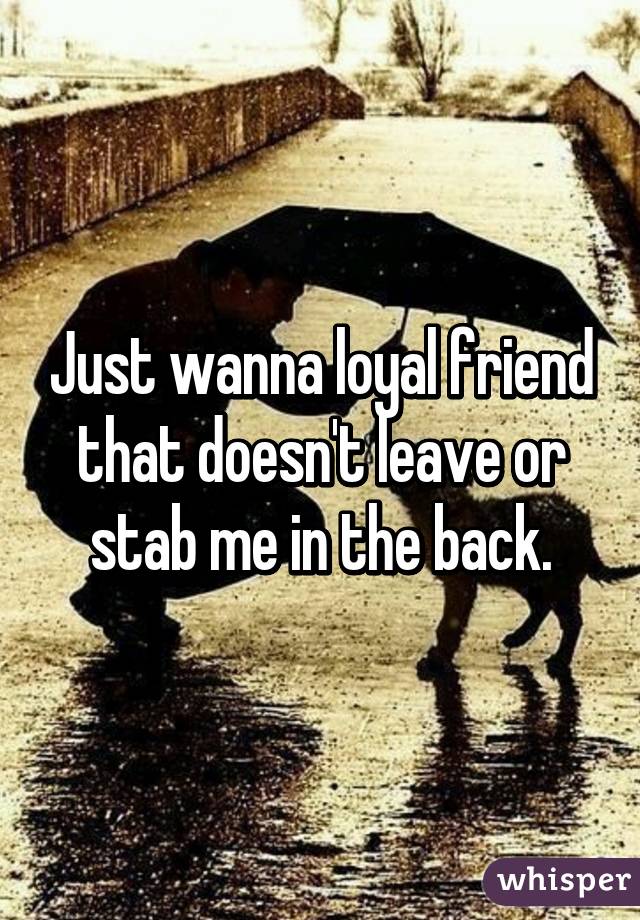 Just wanna loyal friend that doesn't leave or stab me in the back.