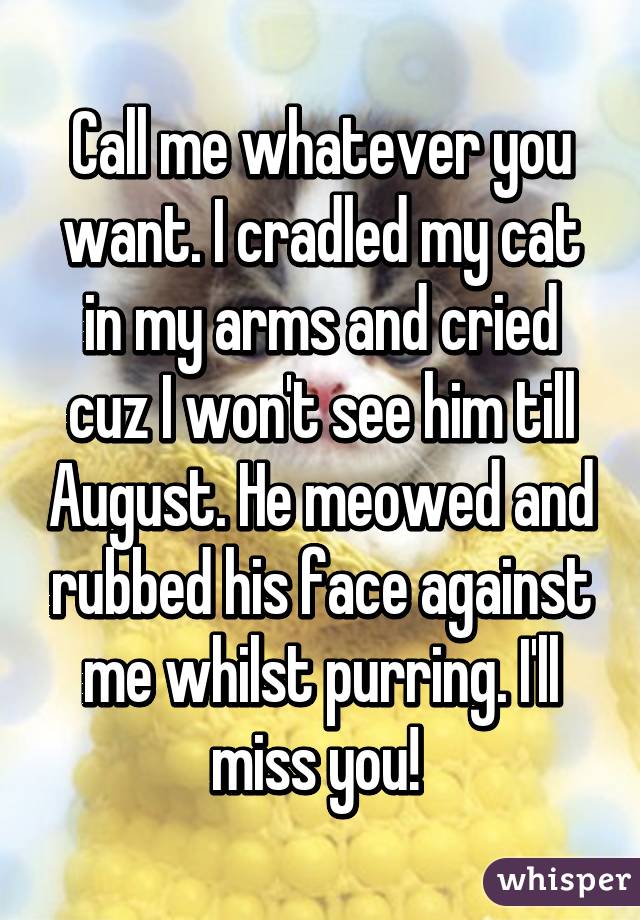 Call me whatever you want. I cradled my cat in my arms and cried cuz I won't see him till August. He meowed and rubbed his face against me whilst purring. I'll miss you! 