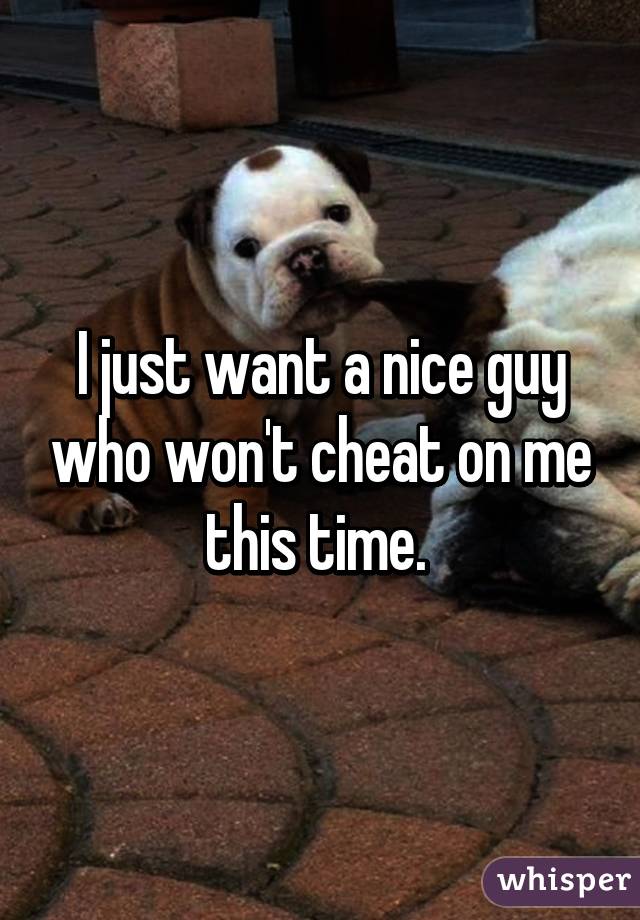 I just want a nice guy who won't cheat on me this time. 