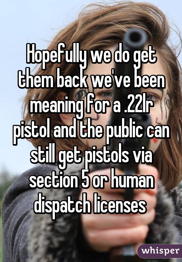 Hopefully we do get them back we've been meaning for a .22lr pistol and the public can still get pistols via section 5 or human dispatch licenses 