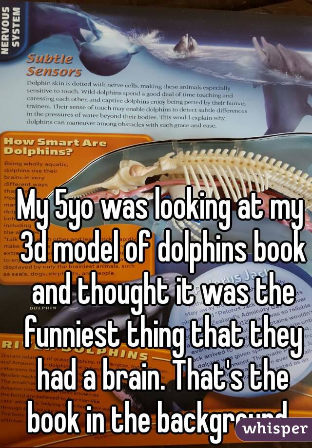 My 5yo was looking at my 3d model of dolphins book and thought it was the funniest thing that they had a brain. That's the book in the background. 