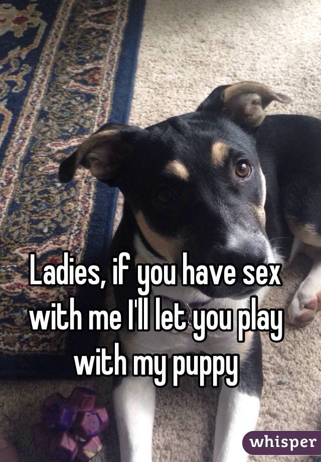 Ladies, if you have sex with me I'll let you play with my puppy