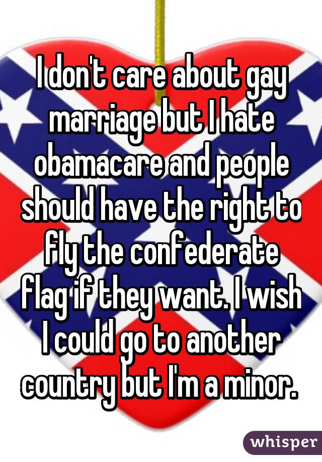 I don't care about gay marriage but I hate obamacare and people should have the right to fly the confederate flag if they want. I wish I could go to another country but I'm a minor. 