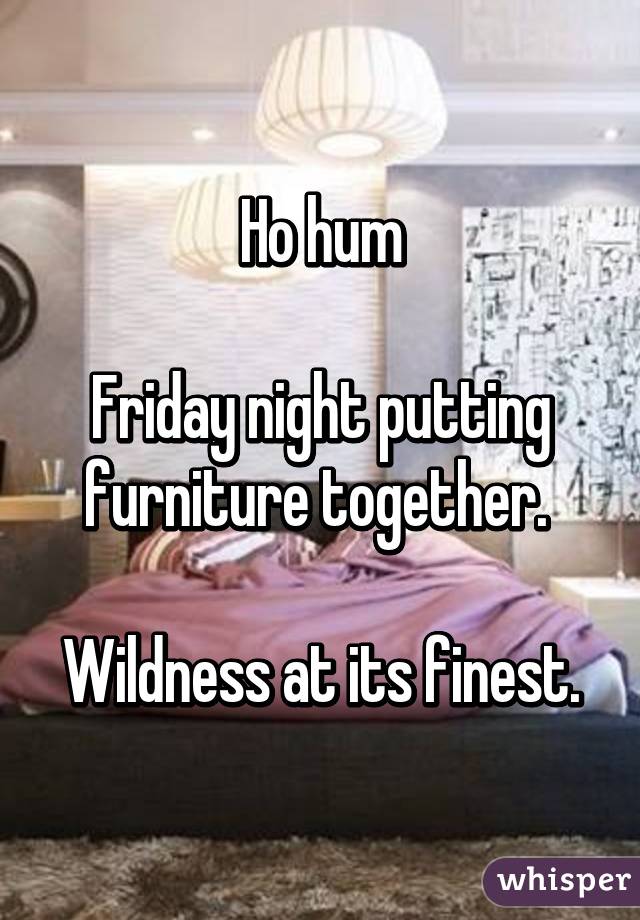 Ho hum

Friday night putting furniture together. 

Wildness at its finest.