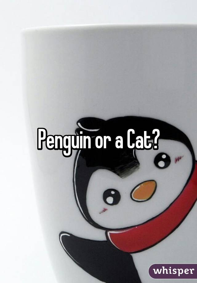 Penguin or a Cat?