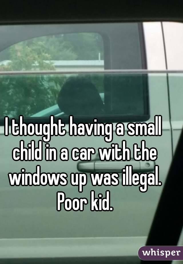 I thought having a small child in a car with the windows up was illegal. Poor kid.