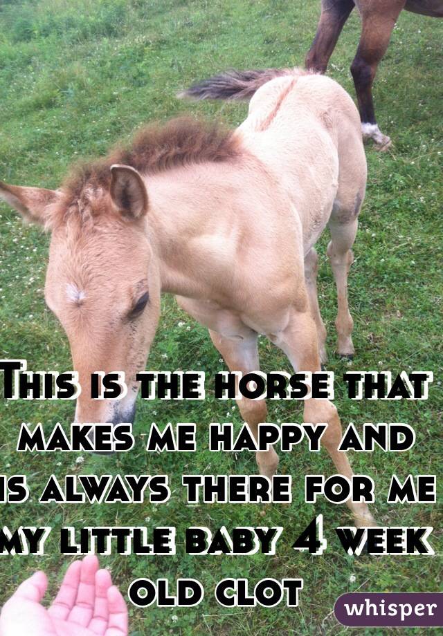 This is the horse that makes me happy and is always there for me my little baby 4 week old clot 