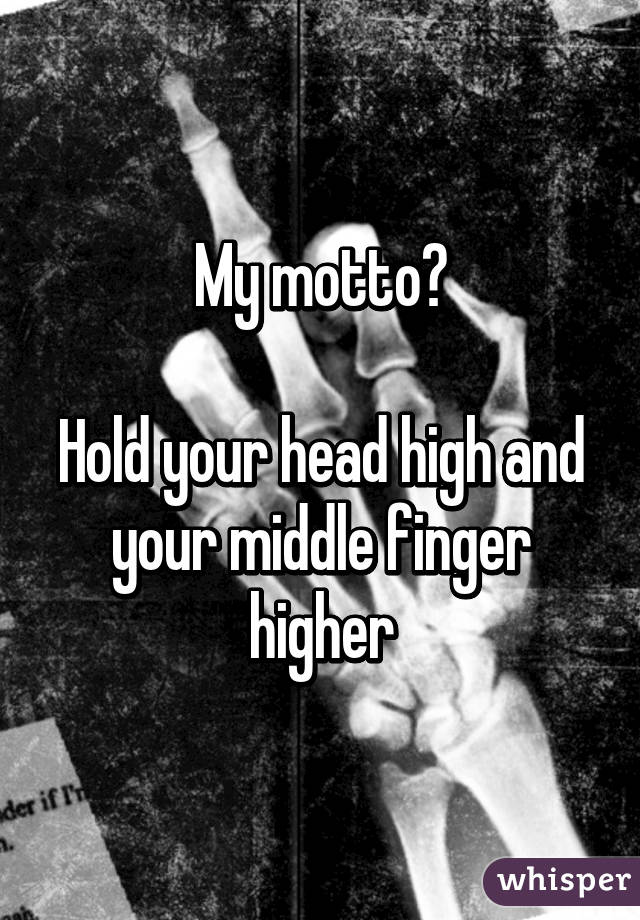 My motto?

Hold your head high and your middle finger higher