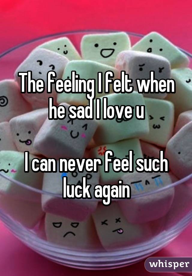 The feeling I felt when he sad I love u

I can never feel such luck again
