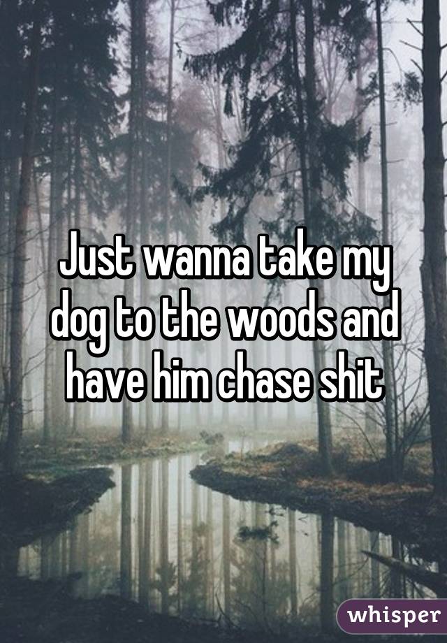 Just wanna take my dog to the woods and have him chase shit
