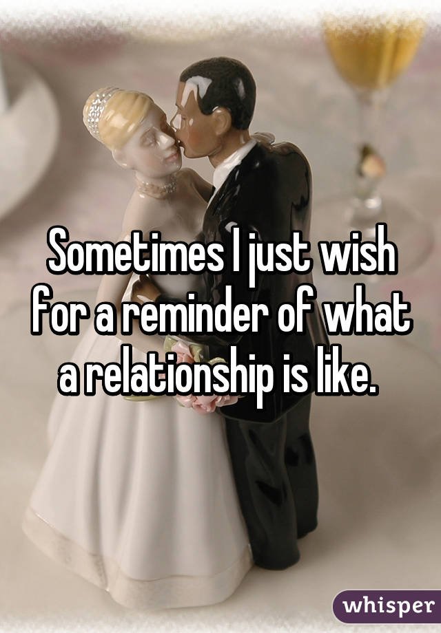Sometimes I just wish for a reminder of what a relationship is like. 