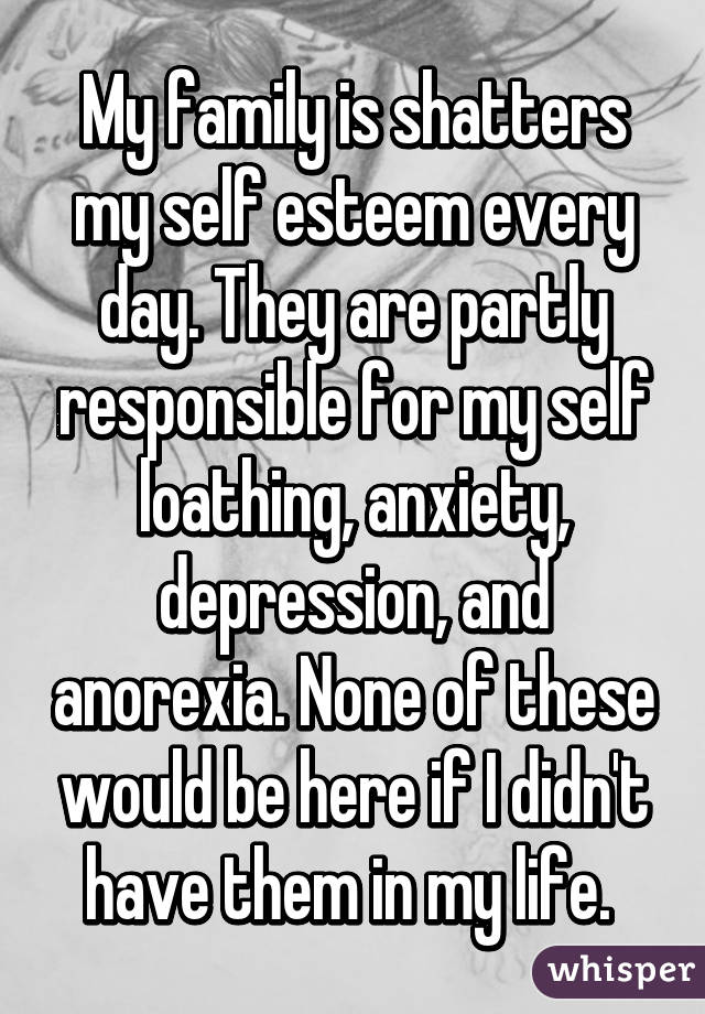 My family is shatters my self esteem every day. They are partly responsible for my self loathing, anxiety, depression, and anorexia. None of these would be here if I didn't have them in my life. 