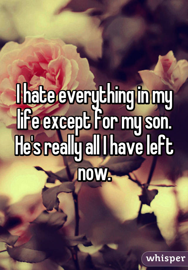 I hate everything in my life except for my son. He's really all I have left now.