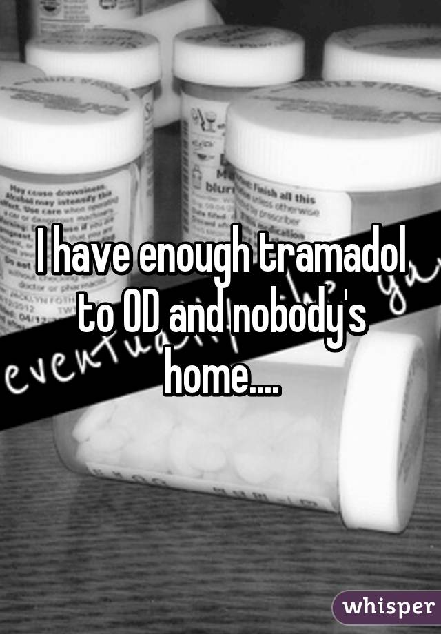 I have enough tramadol to OD and nobody's home....