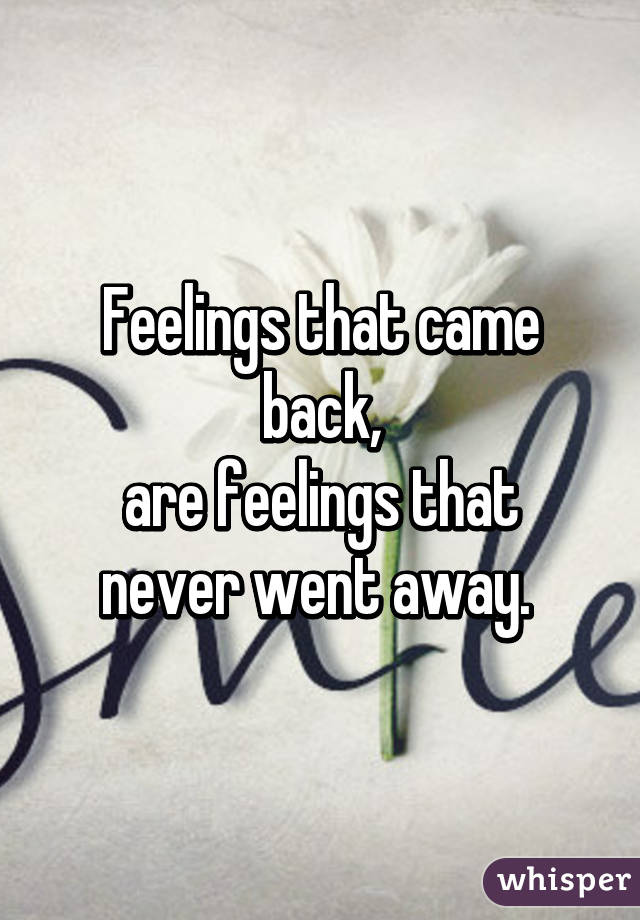 Feelings that came back,
are feelings that never went away. 